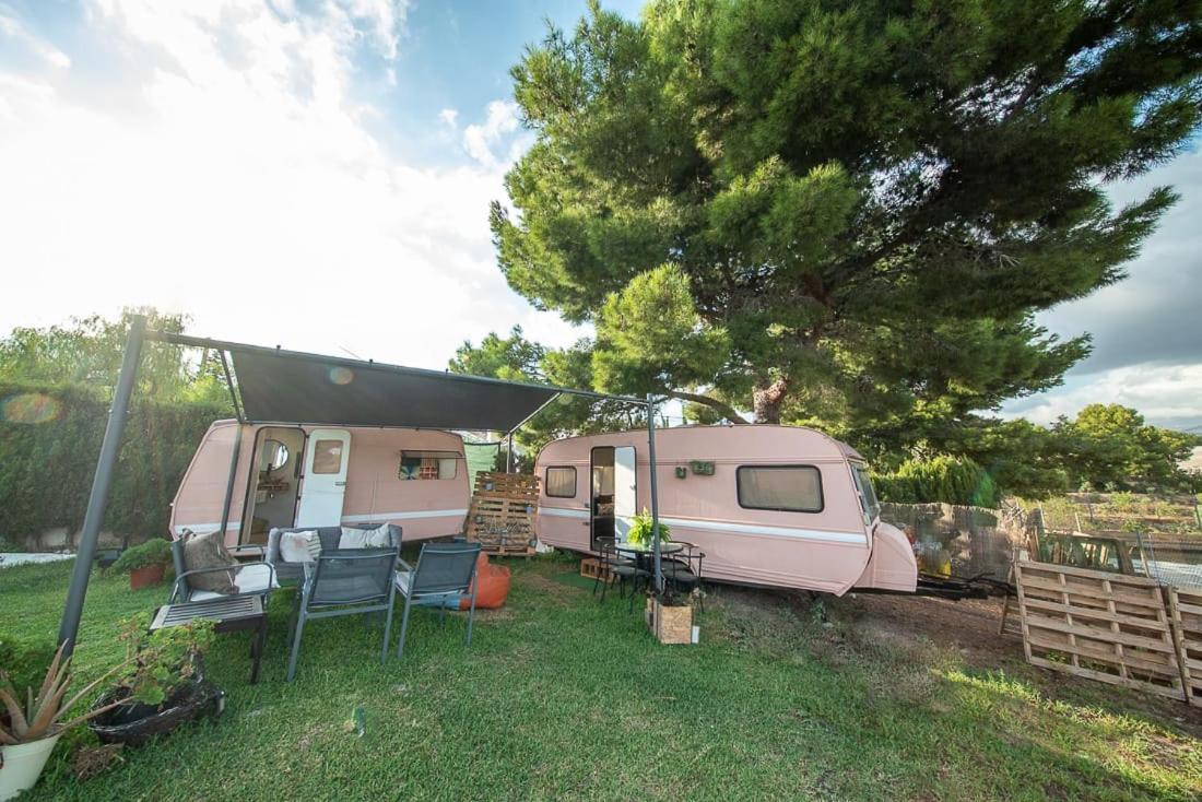 Caravana- Glamping Casa Tortuga La Nucía Esterno foto